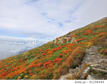 月山 青空 霧 透明 澄んだ 清清しい 紅葉 月山 青空 霧 透明 澄んだ 清清しい 紅葉 81298484