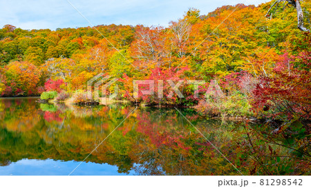 鎌池の紅葉 鎌池の紅葉 81298542