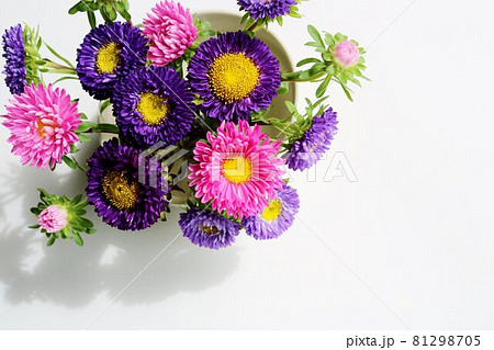 穏やかな気持ちになる花のある空間 アスター 小菊の写真素材