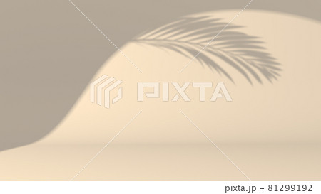 Empty studio with spot of light and shadow of palm Empty studio with spot of light and shadow of palm 81299192