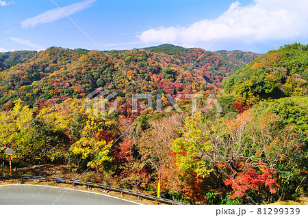 大阪府箕面山にある明治の森箕面国定公園の秋の風景の写真素材