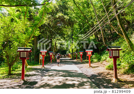 高尾山 登山道 高尾山 登山道 81299409