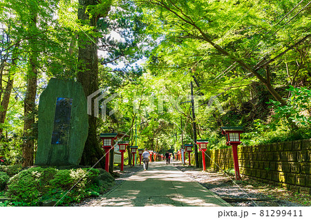 高尾山　登山道 81299411