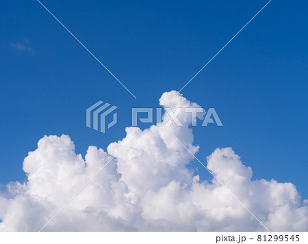入道雲と青空 入道雲と青空 81299545