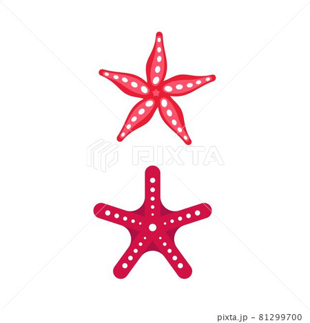 Sea Star fish icon Template vector 81299700