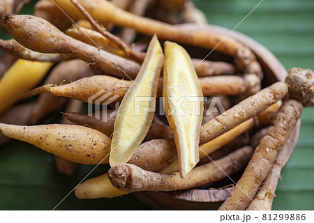 Kaempfer root for food and Thai or Chinese herbal medicine nature - Other names Fingerroot ( Chinese Ginger, Galingale, Kaempfer, Boesenbergia rotunda, Krachai ) Kaempfer root for food and Thai or Chinese herbal medicine nature - Other names Fingerroot ( Chinese Ginger, Galingale, Kaempfer, Boesenbergia rotunda, Krachai ) 81299886