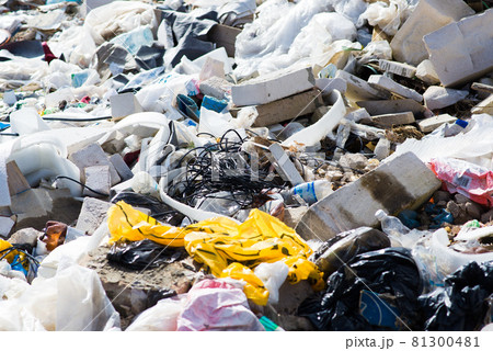 Garbage dump in the woods, forest. Ecological problems 81300481