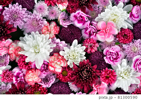 鉢に盛られた色とりどりの花 81300590