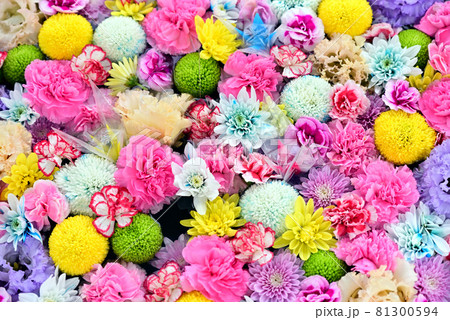 鉢に盛られた色とりどりの花の写真素材 [81300594] - PIXTA