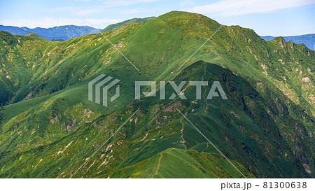 谷川連峰・オジカ沢ノ頭より望む万太郎山 谷川連峰・オジカ沢ノ頭より望む万太郎山 81300638