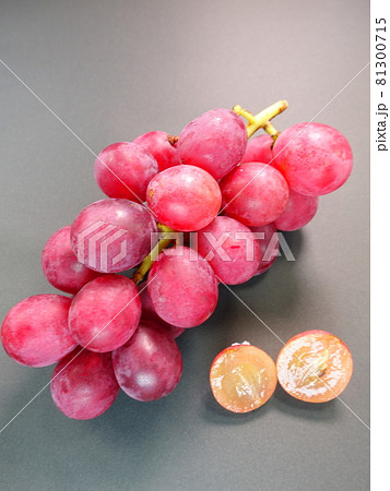 ぶどう　ブドウ　葡萄 81300715