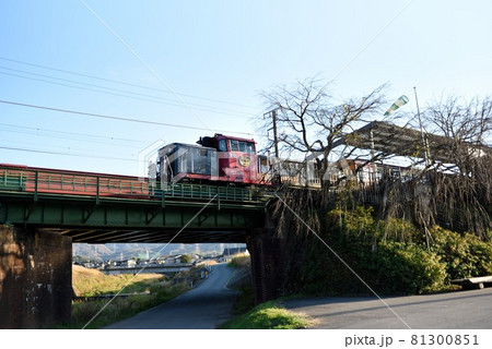 京都：秋の嵯峨野トロッコ列車　亀岡駅前 81300851