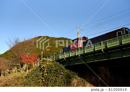 京都:秋の嵯峨野トロッコ列車 亀岡駅前鉄橋 京都:秋の嵯峨野トロッコ列車 亀岡駅前鉄橋 81300919