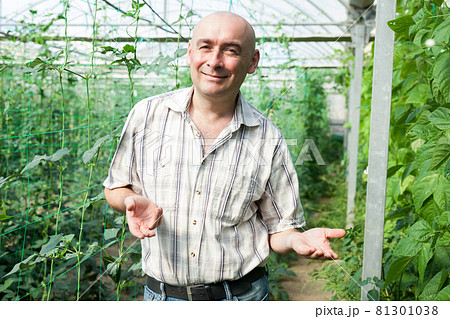Serious man gardener standing near pea and soy seedlings 81301038
