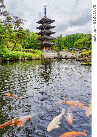 定義如来「西方寺」五重塔と池の鯉 仙台市青葉区 定義如来「西方寺」五重塔と池の鯉 仙台市青葉区 81301679