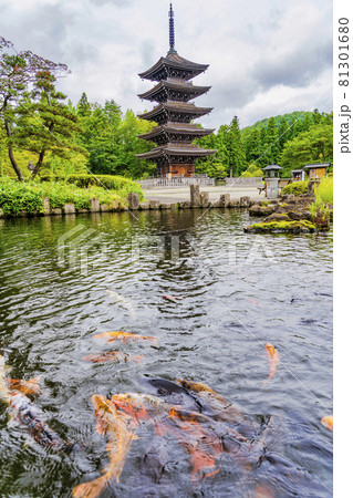 定義如来「西方寺」五重塔と池の鯉 仙台市青葉区 定義如来「西方寺」五重塔と池の鯉 仙台市青葉区 81301680