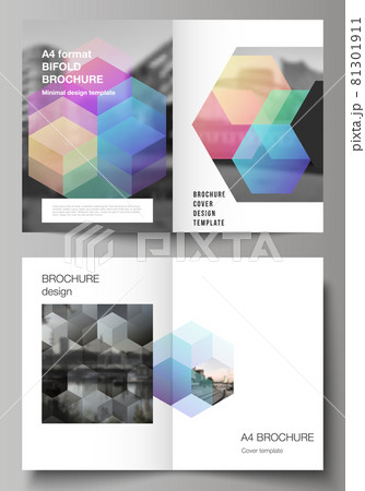 Vector layout of two A4 format cover mockups design templates with colorful hexagons, geometric shapes, tech background for bifold brochure, flyer, magazine, cover design, book design, brochure cover. 81301911