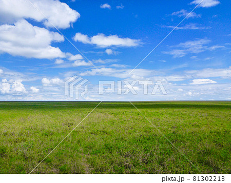 タンザニア・ンゴロンゴロ自然保護区にてサバンナ気候の草原と青空の美しいコントラスト 81302213