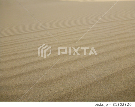 ペルー・ワカチナの砂漠の風紋と波紋のクローズアップ 81302326