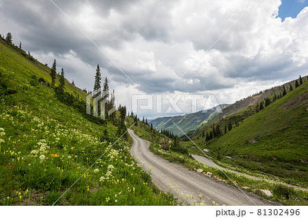 Road in mountains Road in mountains 81302496