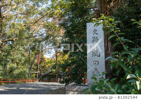 京都 糺の森 京都 糺の森 81302594