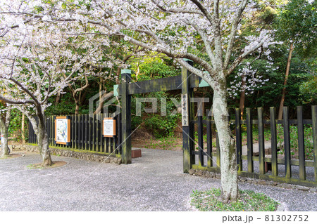 【愛知県】　田原城跡 81302752