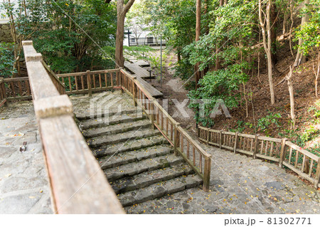 【愛知県】　田原城跡 81302771