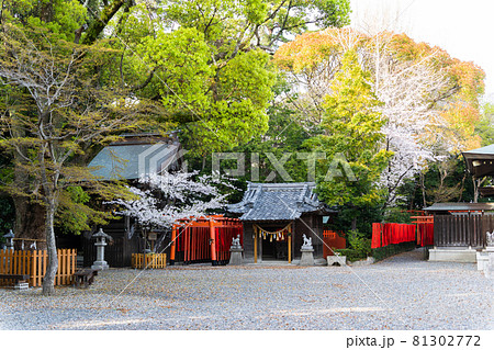【愛知県】 田原城跡 【愛知県】 田原城跡 81302772