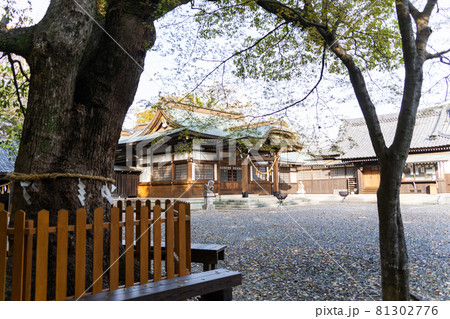 【愛知県】　田原城跡 81302776