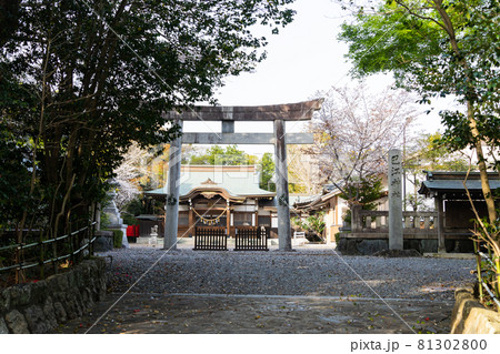 【愛知県】 田原城跡 【愛知県】 田原城跡 81302800