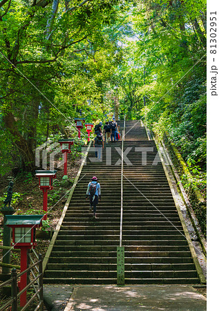 高尾山 男坂 高尾山 男坂 81302951