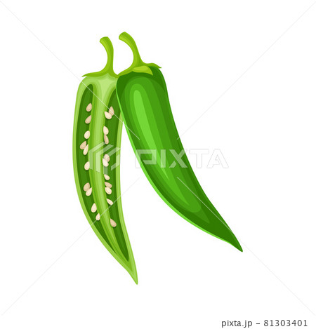 Spicy Hot Green Chili Pepper Vegetable Ingredient for Culinary Cut in Half Vector Illustration Spicy Hot Green Chili Pepper Vegetable Ingredient for Culinary Cut in Half Vector Illustration 81303401