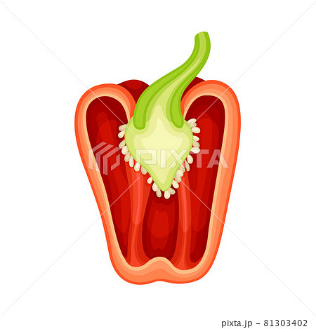 Half of Sweet Red Bell Pepper Vegetable Ingredient for Culinary Vector Illustration Half of Sweet Red Bell Pepper Vegetable Ingredient for Culinary Vector Illustration 81303402