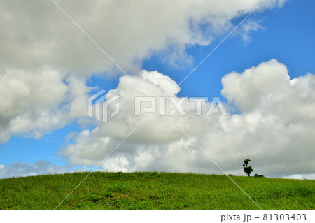 青空と雲と草原／沖縄県沖縄市倉敷ダム 81303403