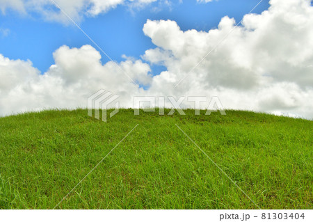 青空と雲と草原/沖縄県沖縄市倉敷ダム 青空と雲と草原/沖縄県沖縄市倉敷ダム 81303404