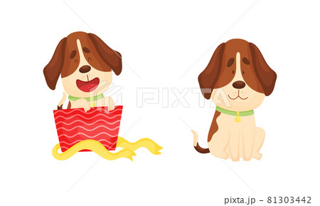 Cute funny beagle dog set. Cute adorable pet animal cartoon vector illustration Cute funny beagle dog set. Cute adorable pet animal cartoon vector illustration 81303442
