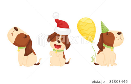 Cute funny beagle dog set. Cute pet animal in xmas and party hat celebrating holidays cartoon vector illustration 81303446