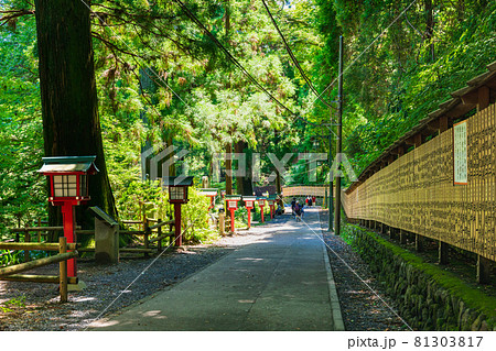 高尾山　登山道 81303817