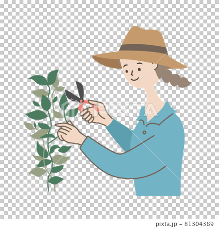 植物を栽培する女性　摘心 81304389