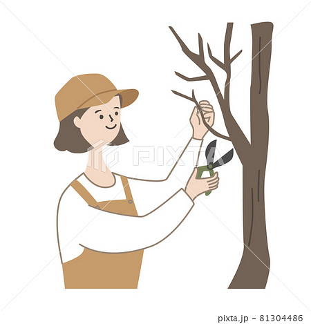 剪定する女性 81304486
