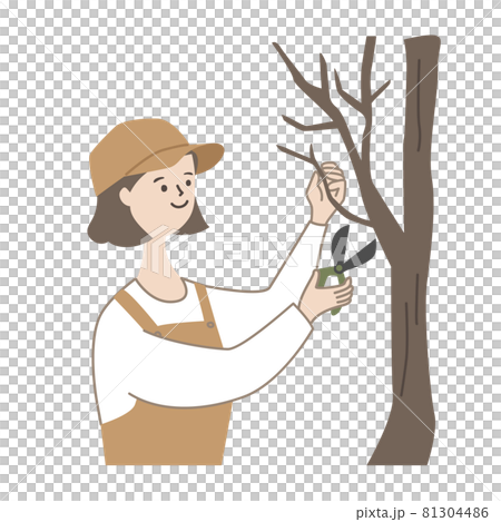 剪定する女性 81304486