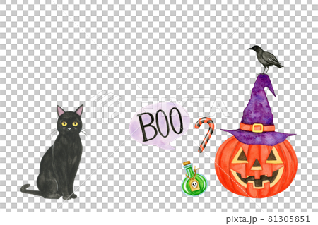 萬聖節形象【手繪水彩】 81305851