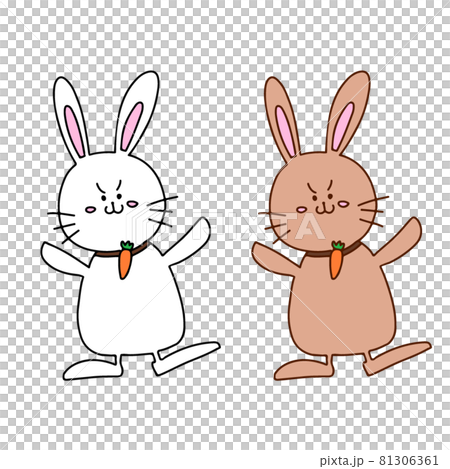 兔子的插圖 兔子的插圖 81306361