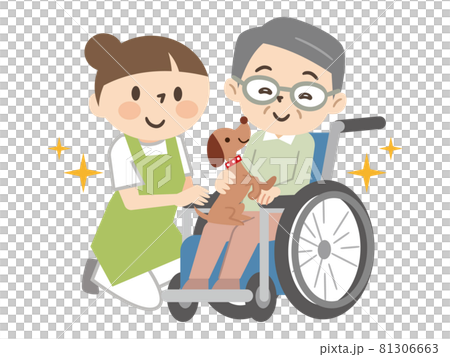 Animal therapy Senior men and caregivers interacting with animals 81306663