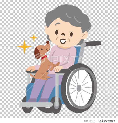 アニマルセラピー 動物とふれあうシニア女性 アニマルセラピー 動物とふれあうシニア女性 81306666