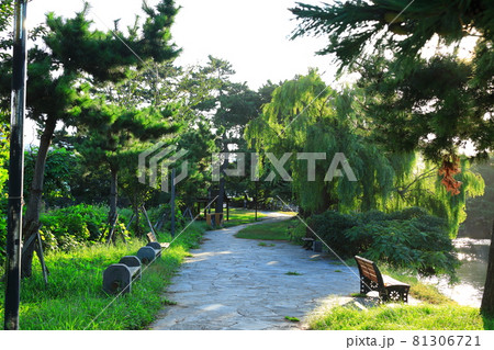 川 河 川辺 81306721