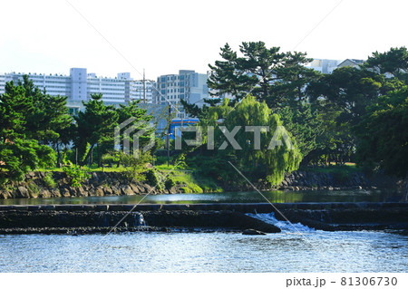 川 河 川辺 81306730