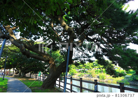 川 河 川辺 81306737