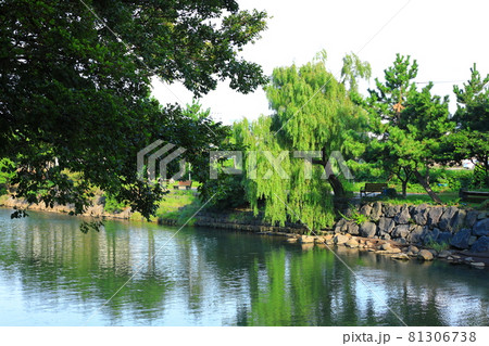 川 河 川辺 81306738