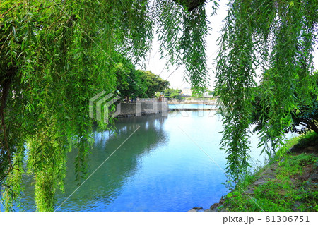 川 河 川辺 81306751